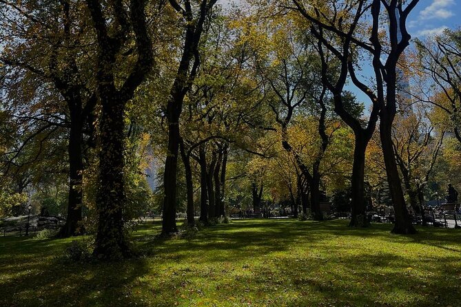 NYC Central Park Pedicab Tours - How the guides shape the experience