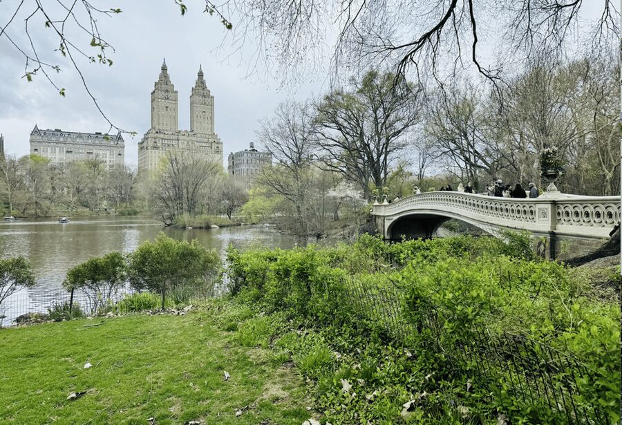 NYC: Central Park Rickshaw Tour / Private and Guided - Central Park through the lens of movies