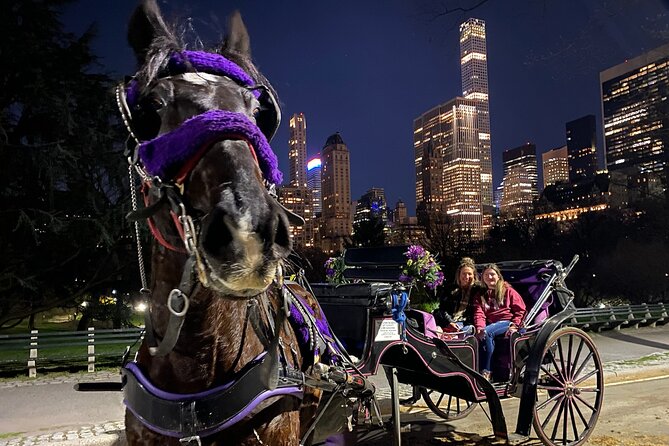 NYC Central Park & Rockefeller Center Private Horse Carriage Tour - Central Park in 15 Minutes: A Quick Ride Through Famous Corners