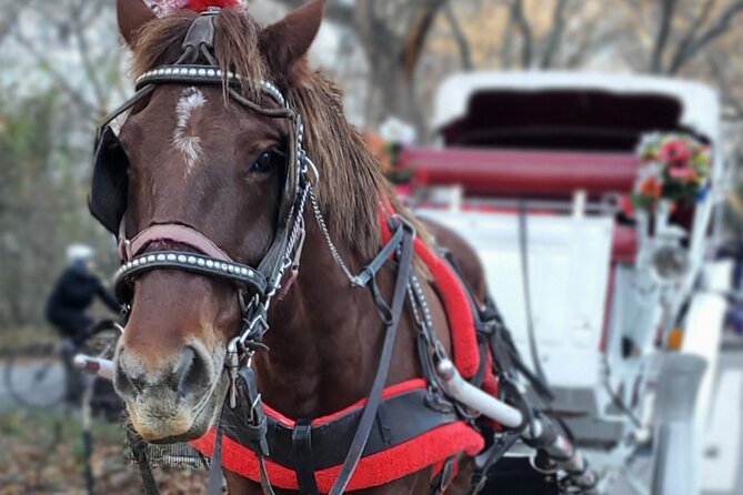 NYC Central Park & Rockefeller Center Private Horse Carriage Tour - Rockefeller Center in Three Minutes