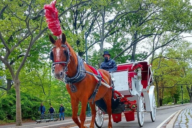 NYC Central Park VIP Horse and Carriage Ride - What the private Central Park carriage ride feels like