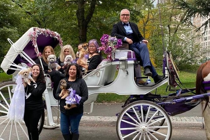 NYC Central Park VIP Horse and Carriage Ride - The Lake and the Central Park restaurant