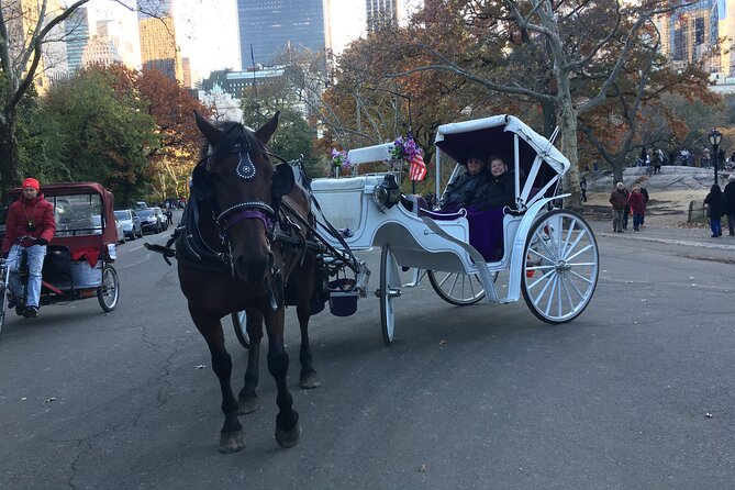 NYC Central Park VIP Horse and Carriage Ride - Columbus Circle, Balto, and Wollman Rink
