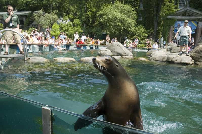 NYC: Central Park Zoo Entry Ticket & Manhattan Walking Tour - A smart first look at lower Manhattan