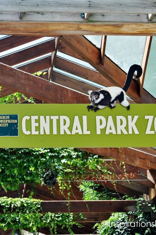 NYC: Central Park Zoo Entry Ticket & Manhattan Walking Tour - Chinatown and Little Italy: the most enjoyable part for many
