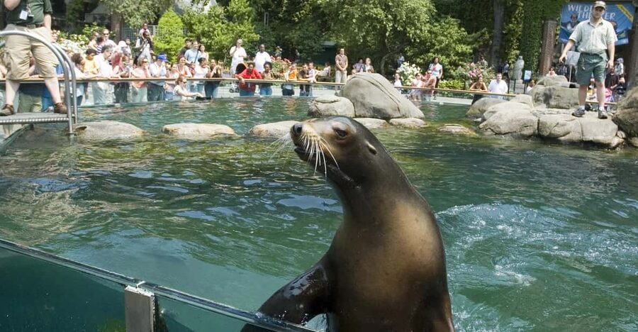 NYC: Central Park Zoo Entry Ticket & Manhattan Walking Tour - What the $57 price really covers