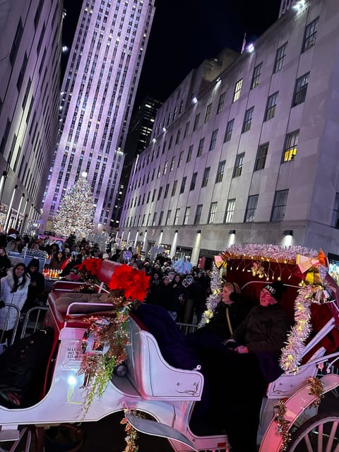 NYC: Christmas Lights Horse Carriage Ride - Key points to know before booking