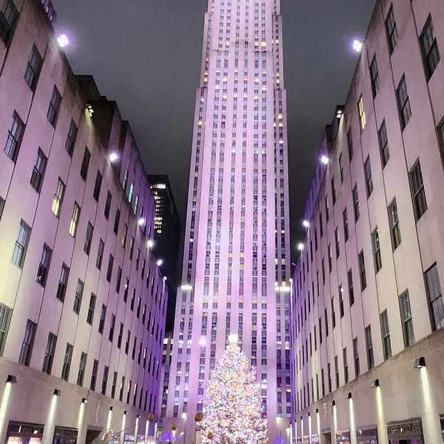 NYC: Christmas Lights Horse Carriage Ride - A slow Christmas circuit from Central Park