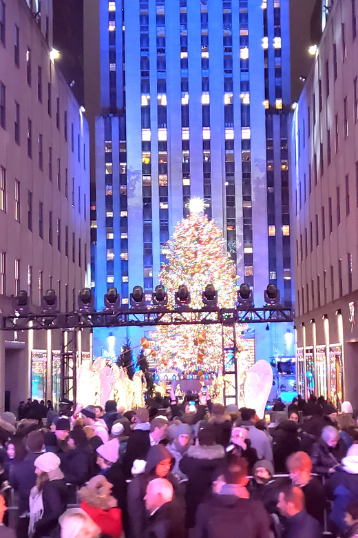 NYC: Christmas Lights Horse Carriage Ride - St. Patrick’s Cathedral and Midtown landmarks