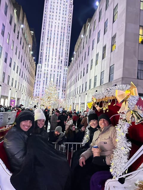 NYC: Christmas Lights Horse Carriage Ride - The guides and the horse make the difference