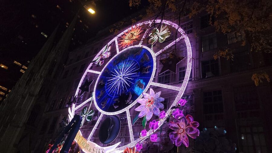 NYC: Christmas Lights Horse Carriage Ride - Who should book this carriage ride?