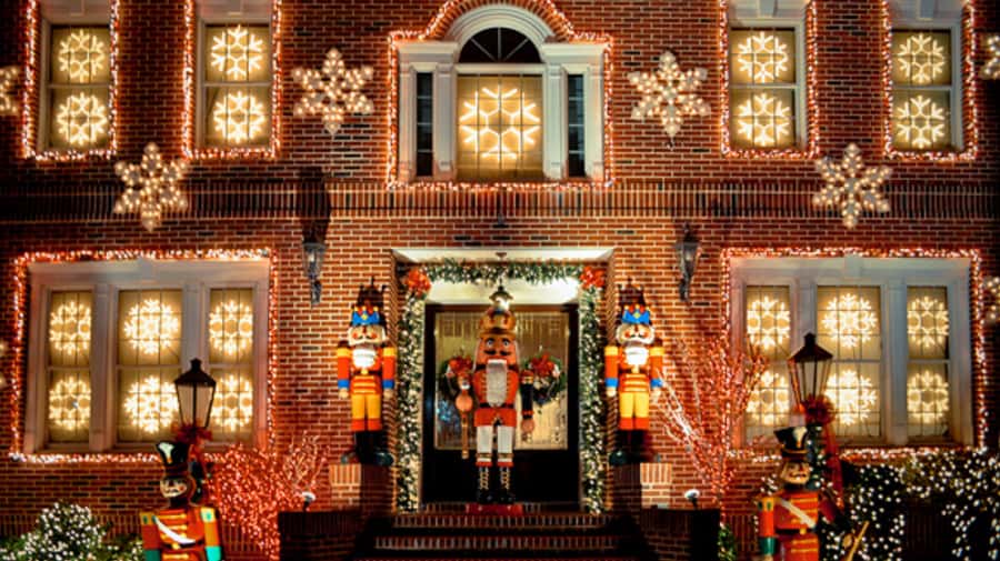 NYC: Christmas Lights Tour and Dyker Heights - Who will get the most from this tour