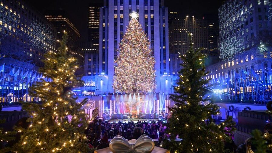 NYC: Dyker Heights and NYC Holiday Lights Luxury Bus Tour - Chinatown, SoHo, and Washington Square Arch