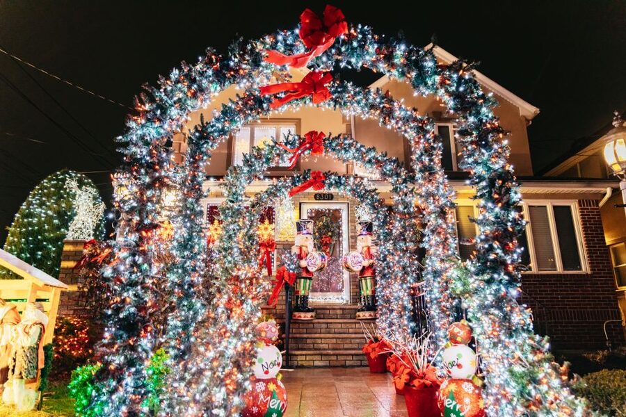 NYC: Dyker Heights Christmas Lights & Skyline View Bus Tour - Practical details that affect your choice