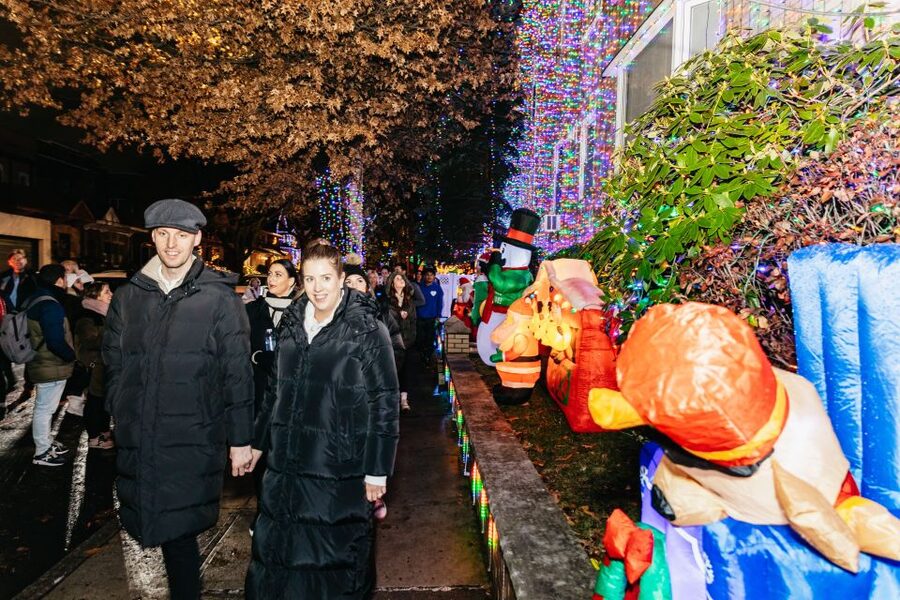 NYC: Dyker Heights Christmas Lights & Skyline View Bus Tour - Guide quality can shape the whole evening