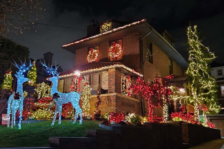 NYC: Dyker Heights Christmas Lights Tour with Hot Cocoa - A festive outing with a few rough edges