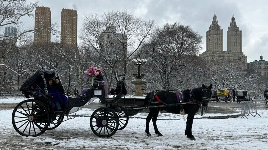 NYC Empire State Horse Carriage Ride in Central Park(45mins) - Strawberry Fields and the John Lennon memorial