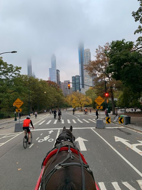 NYC Empire State Horse Carriage Ride in Central Park(45mins) - Is $140 a fair price for 45 minutes?