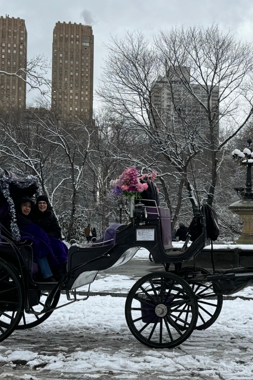 NYC Empire State Horse Carriage Ride in Central Park(45mins) - Winter, summer, and the question of timing