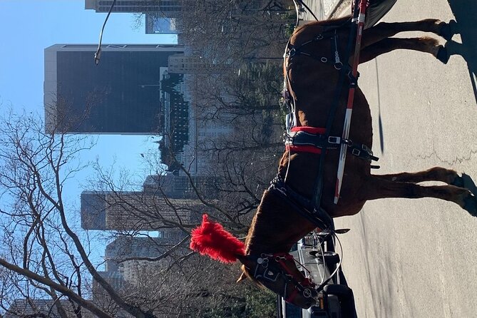 NYC Empire State Horses Carriage Ride in Central Park (45 Mins) - Key points before you book