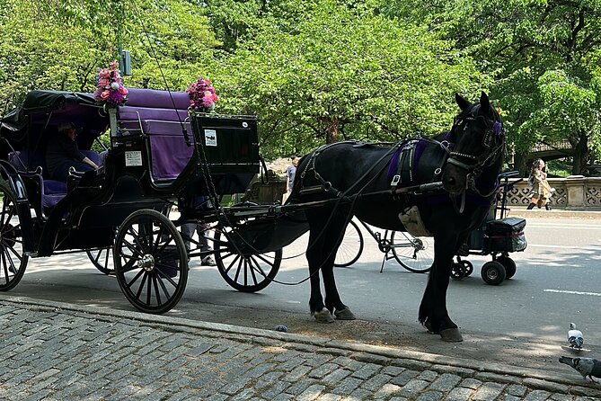 NYC Empire State Horses Carriage Ride in Central Park (45 Mins) - What the 45-minute ride is really good at