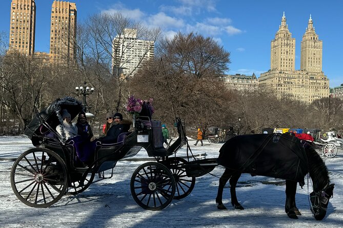 NYC Empire State Horses Carriage Ride in Central Park (45 Mins) - Strawberry Fields, the Dakota, and movie locations