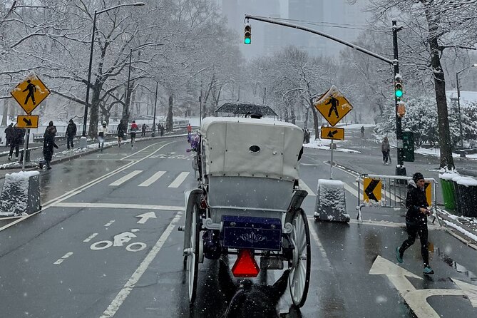 NYC Empire State Horses Carriage Ride in Central Park (45 Mins) - Sheep Meadow, Tavern on the Green, and the final stretch