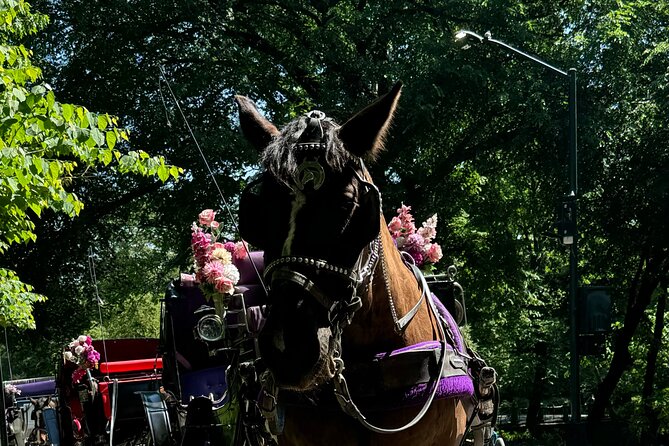 NYC Empire State Horses Carriage Ride in Central Park (45 Mins) - What the guides add to the experience