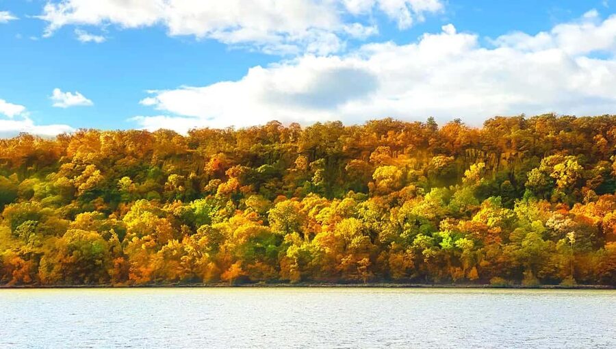 NYC: Fall Foliage Cruise with Live Guide - Met Cloisters and the Upper Hudson View