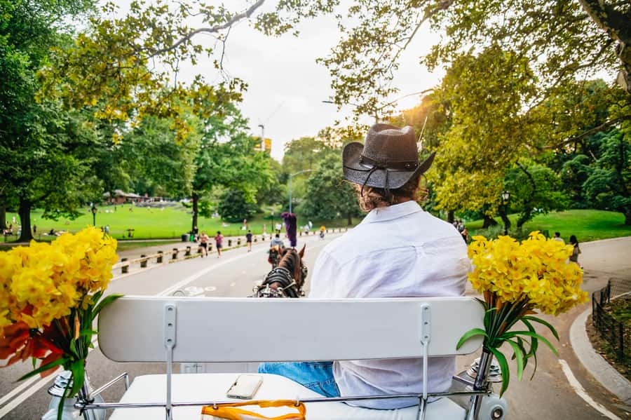 NYC: Guided Central Park Horse Carriage Ride - Literary Mall and Bethesda Fountain