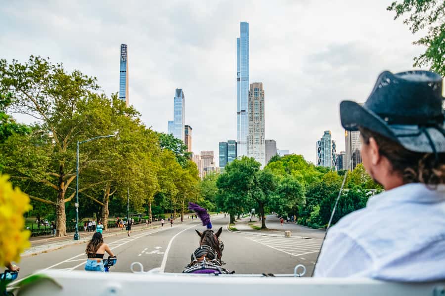 NYC: Guided Central Park Horse Carriage Ride - The Lake, Boat Pond, and Sheep Meadow