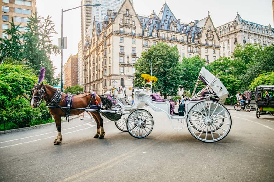 NYC: Guided Central Park Horse Carriage Ride - What the guide adds to the experience