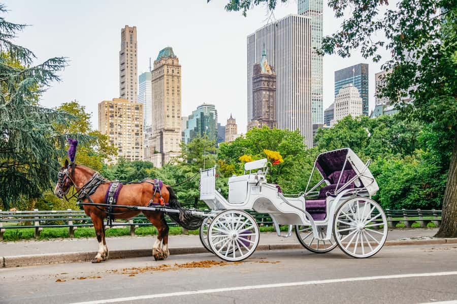 NYC: Guided Central Park Horse Carriage Ride - From Wollman Rink to the park’s southern sights