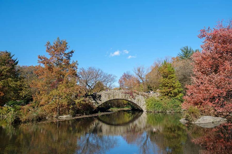 NYC: Guided Central Park Private Pedicab Tour - The guide can make or break the hour