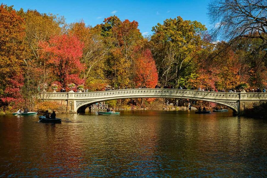 NYC: Guided Central Park Private Pedicab Tour - Wollman Rink and the southern edge of the park