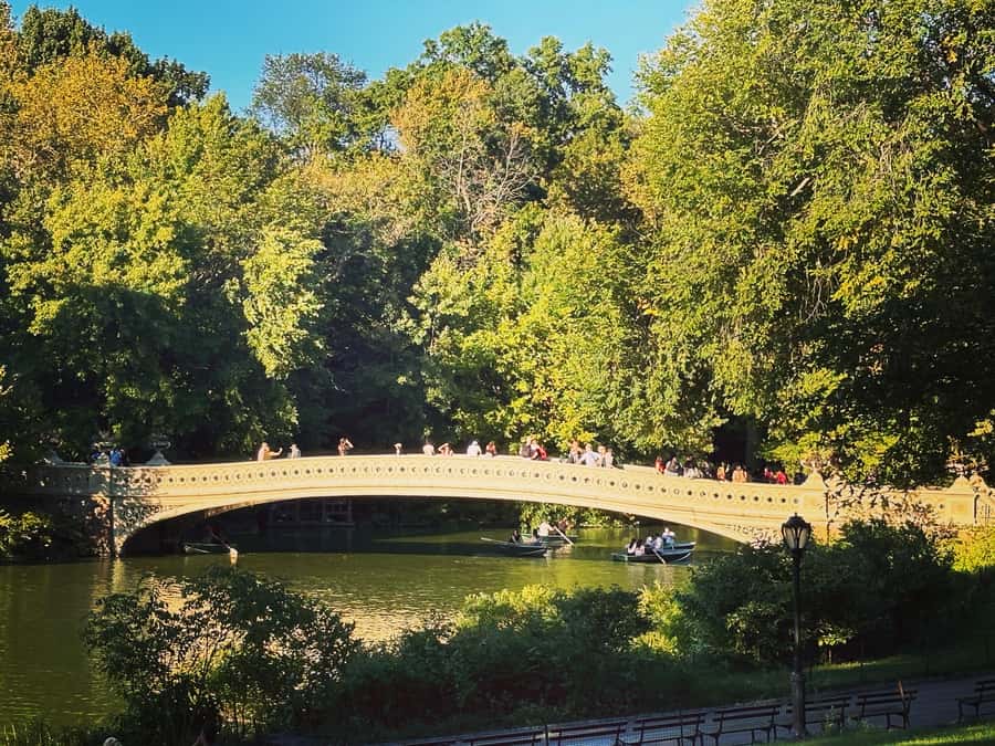 NYC: Guided Pedicab Tour of Central Park - Sheep Meadow, Tavern on the Green, and Heckscher Playground