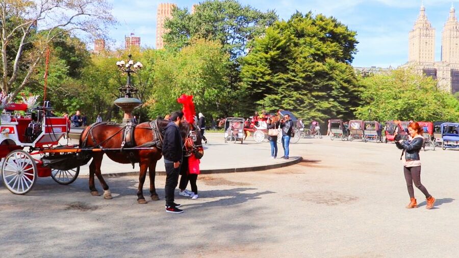 NYC: Guided Standard Central Park Carriage Ride (4 Adults) - Cherry Hill and Friends Fountain