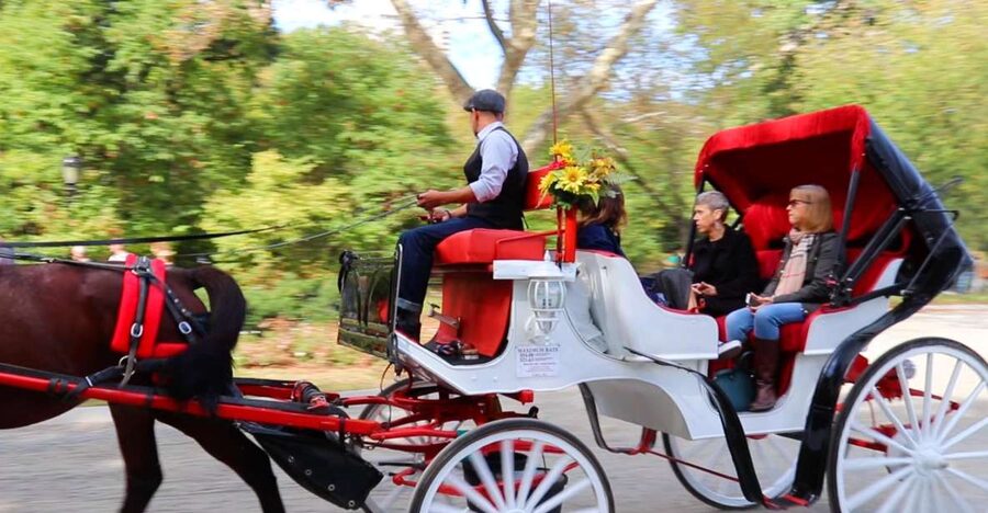 NYC: Guided Standard Central Park Carriage Ride (4 Adults) - Bethesda Terrace and the park’s grand centerpiece
