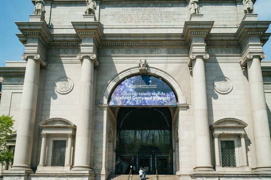 NYC: Harlem & Bronx with Yankees Baseball Game, 1-Day Tour - Yankee Stadium is more than your game seat