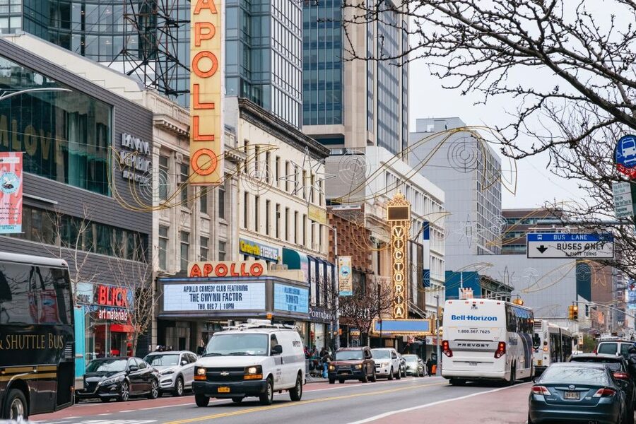 NYC: Harlem Renaissance Guided Walking Tour with Lunch - 135th Street and the vanished Jungle Alley