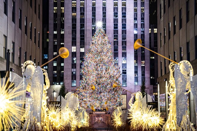 NYC Holiday Lights and Dyker Heights Luxury Bus Tour - Key points to know before booking