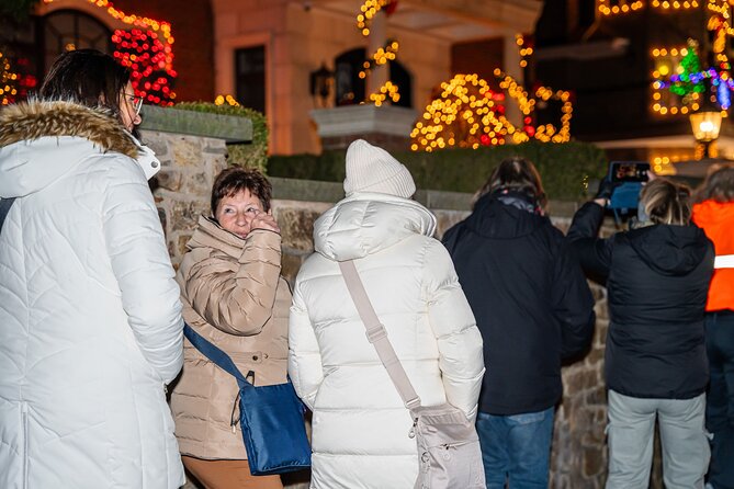 NYC Holiday Lights and Dyker Heights Luxury Bus Tour - One hour among the decorated homes