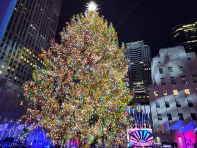 Holiday Lights Guided Bus Tour