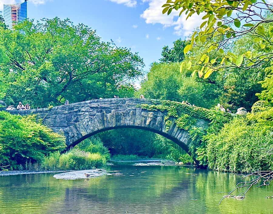 NYC: Home Alone 2 & Elf Locations Tour in Central Park Tour - Buddy’s bridge from Elf