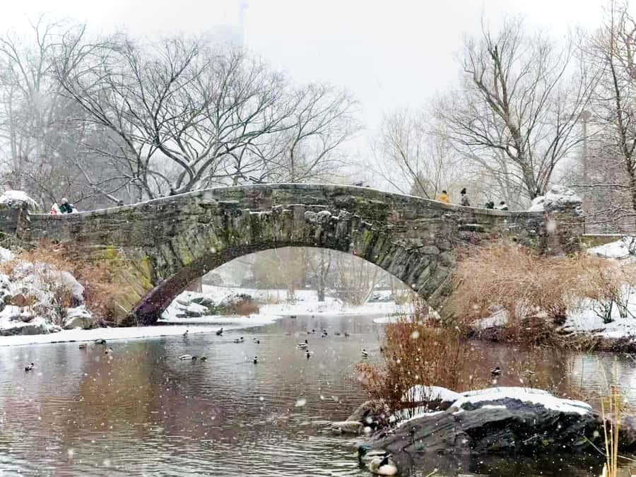 NYC: Home Alone 2 & Elf Locations Tour in Central Park Tour - Blankets, photos, and winter comfort