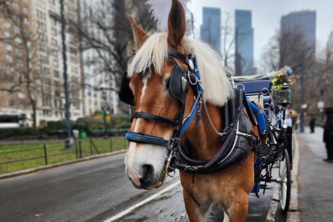 NYC Horse and Carriage Central Park Tours - Key points to know before you book