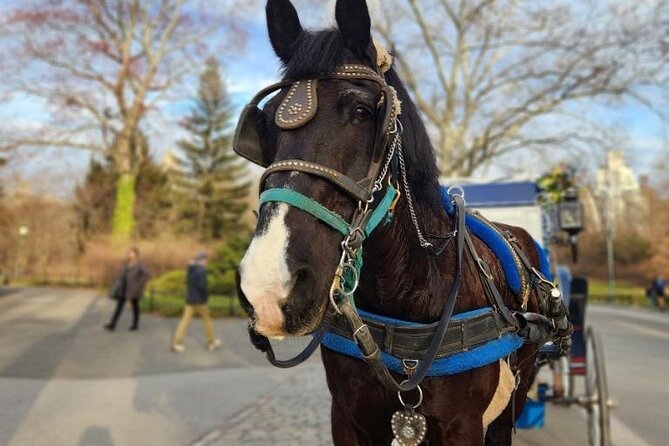 NYC Horse and Carriage Central Park Tours - Why a horse carriage can be a smart way to see Central Park