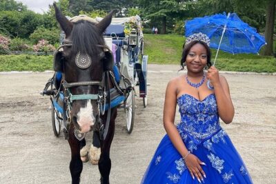NYC Horse and Carriage Central Park Tours