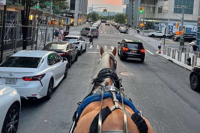 NYC Horse and Carriage Central Park Tours - Cherry Hill and the Bow Bridge area