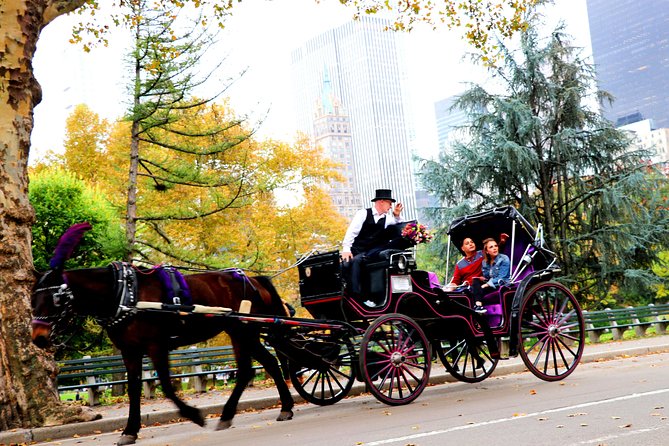 NYC Horse Carriage Ride in Central Park (50 Min. Up to 4 Adults) - Gapstow Bridge, restaurants, and the Central Park Boathouse